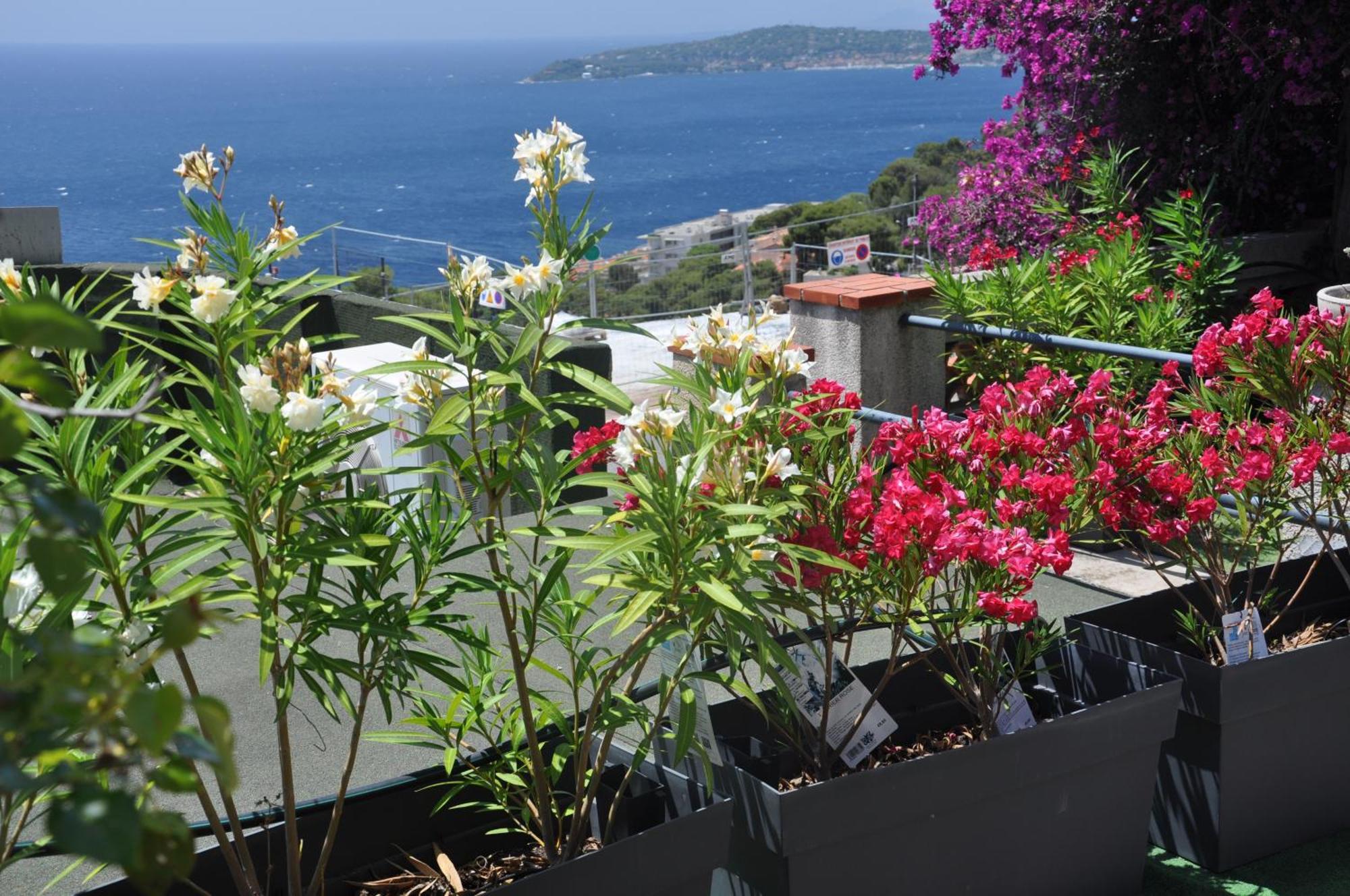 Skyline Apartments Cap-d'Ail Εξωτερικό φωτογραφία