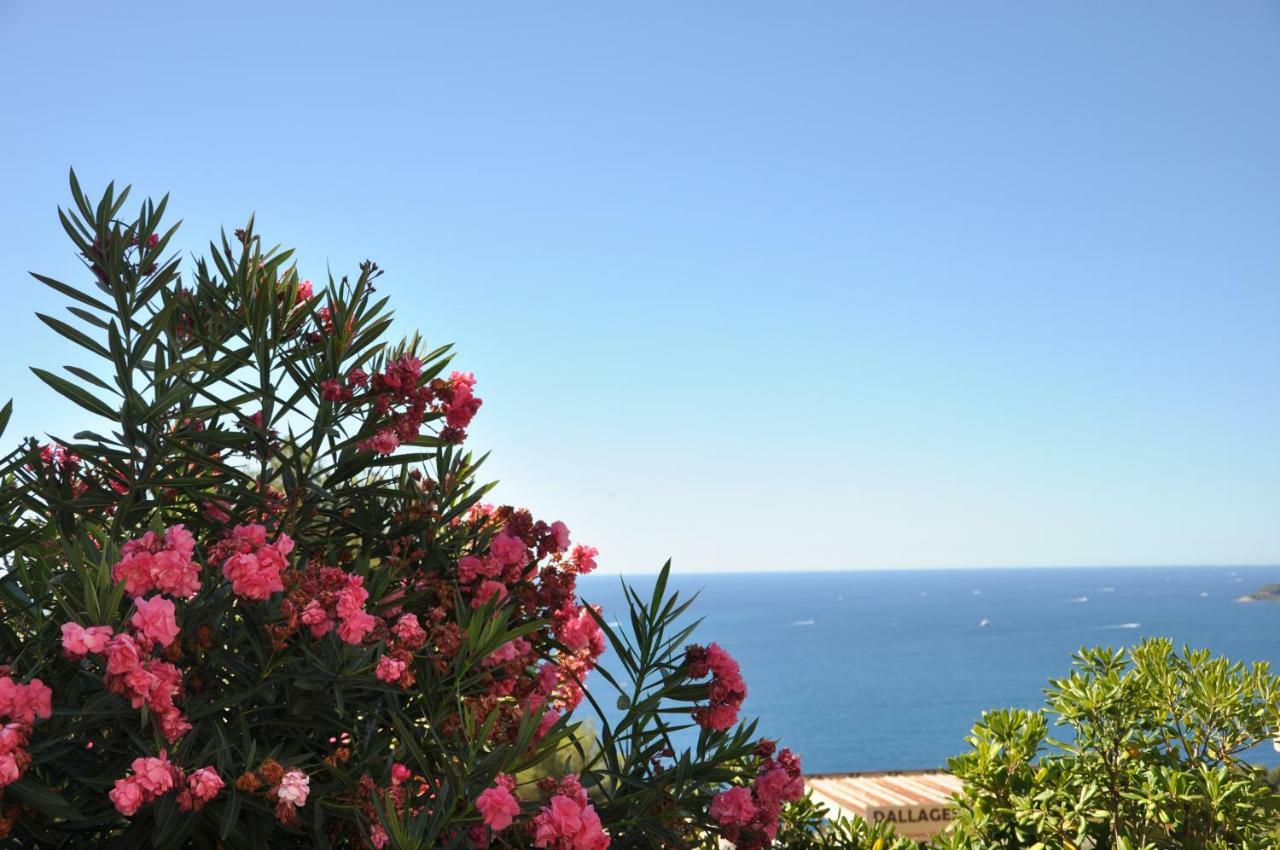 Skyline Apartments Cap-d'Ail Εξωτερικό φωτογραφία